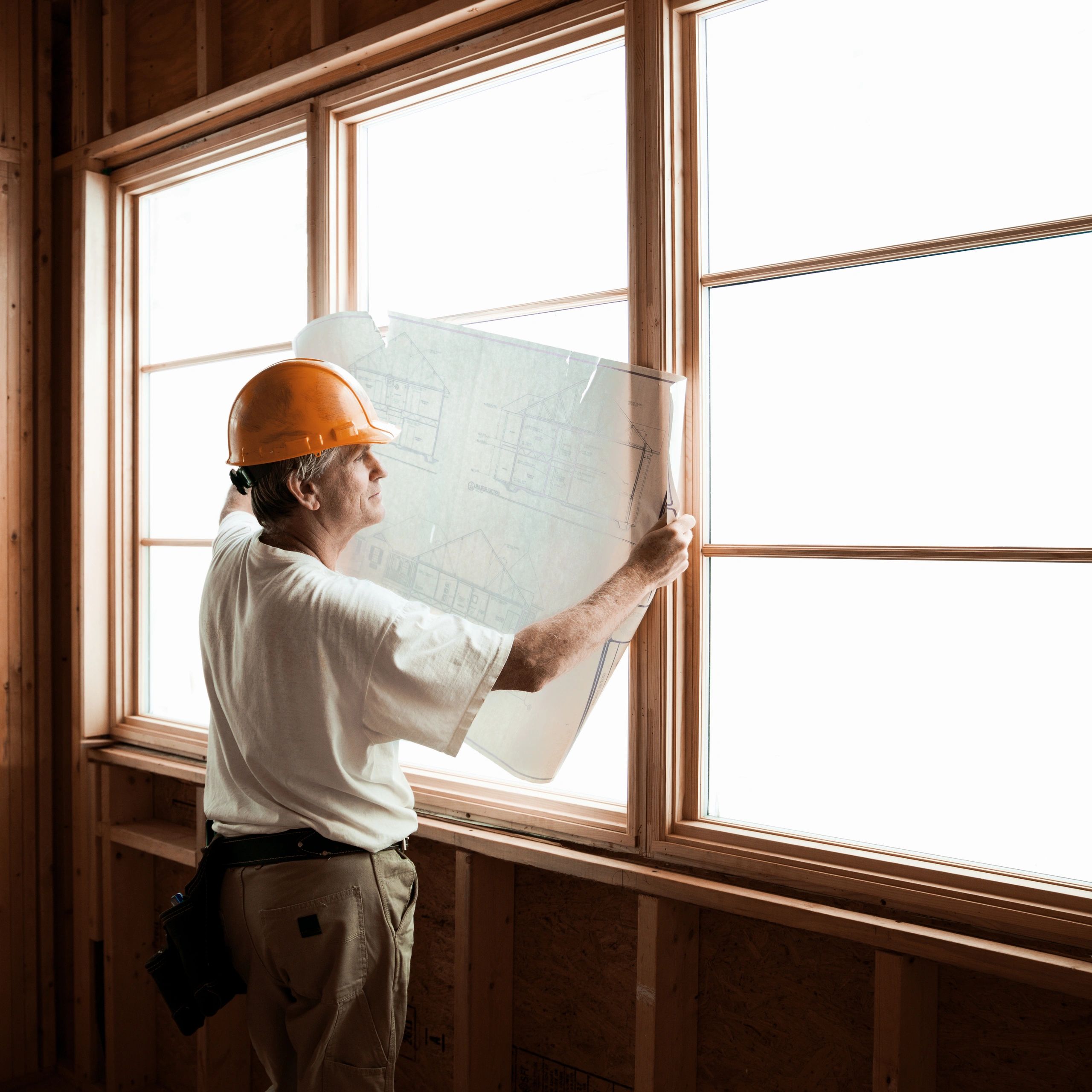 Professional reviewing renovation plans